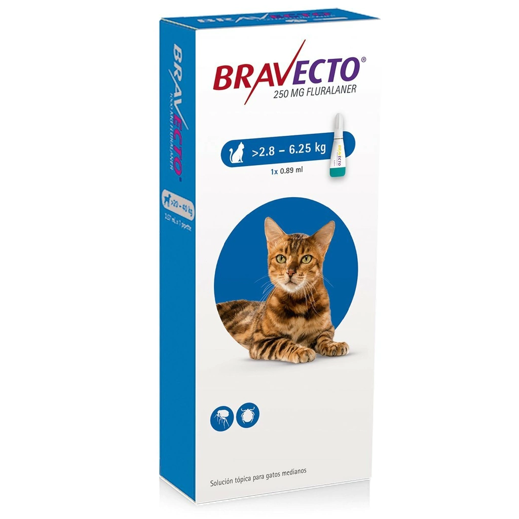 BRAVECTO GATO DE 2,8 A 6,5 KG