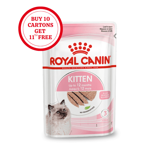 KITTEN POUCH X 85 GR